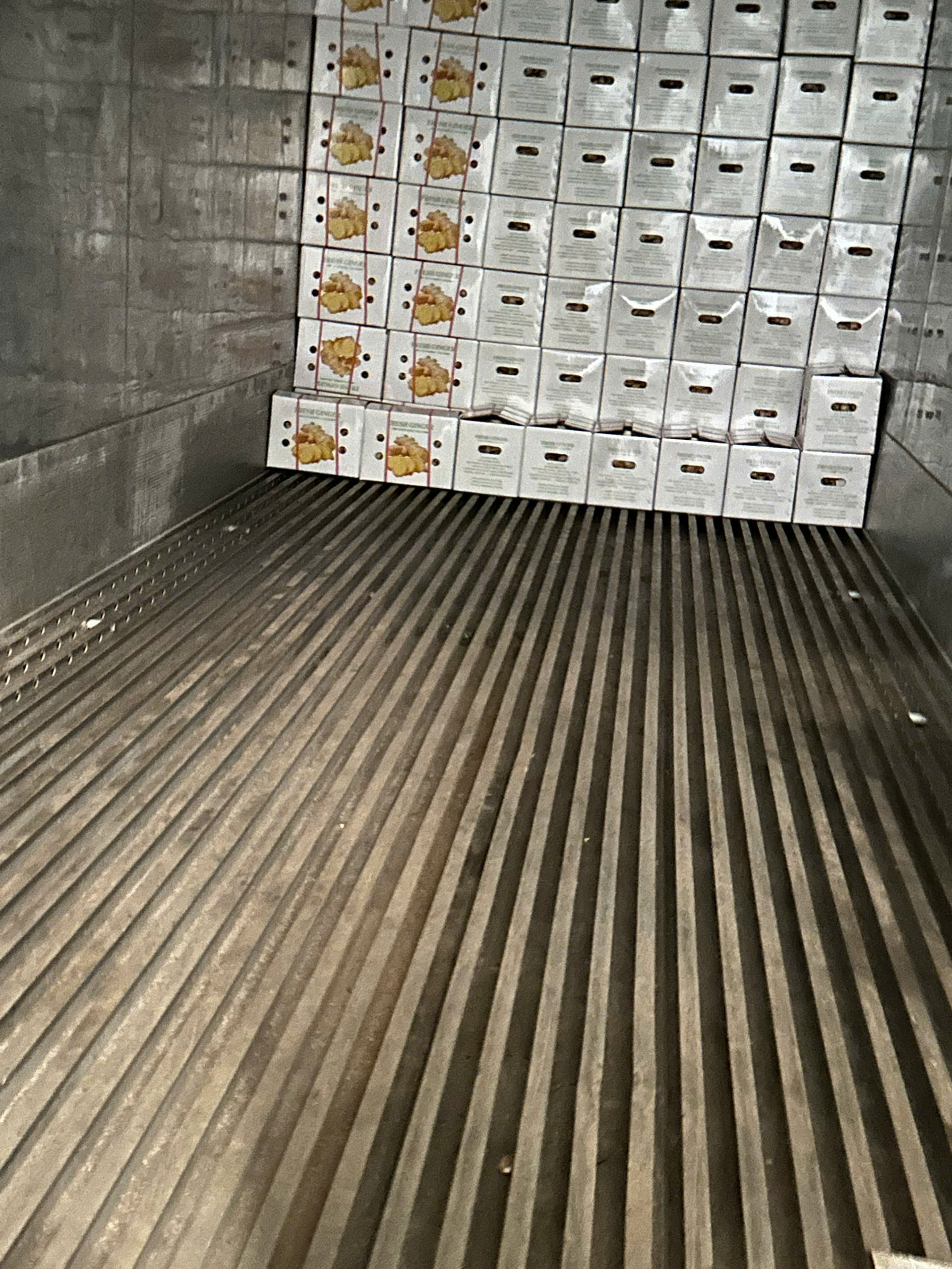 Premium Fresh Ginger Export from Vietnam | New Crop Ginger Supplier | Cat Lai Port & Hai Phong Port | Wholesale Fresh Ginger
