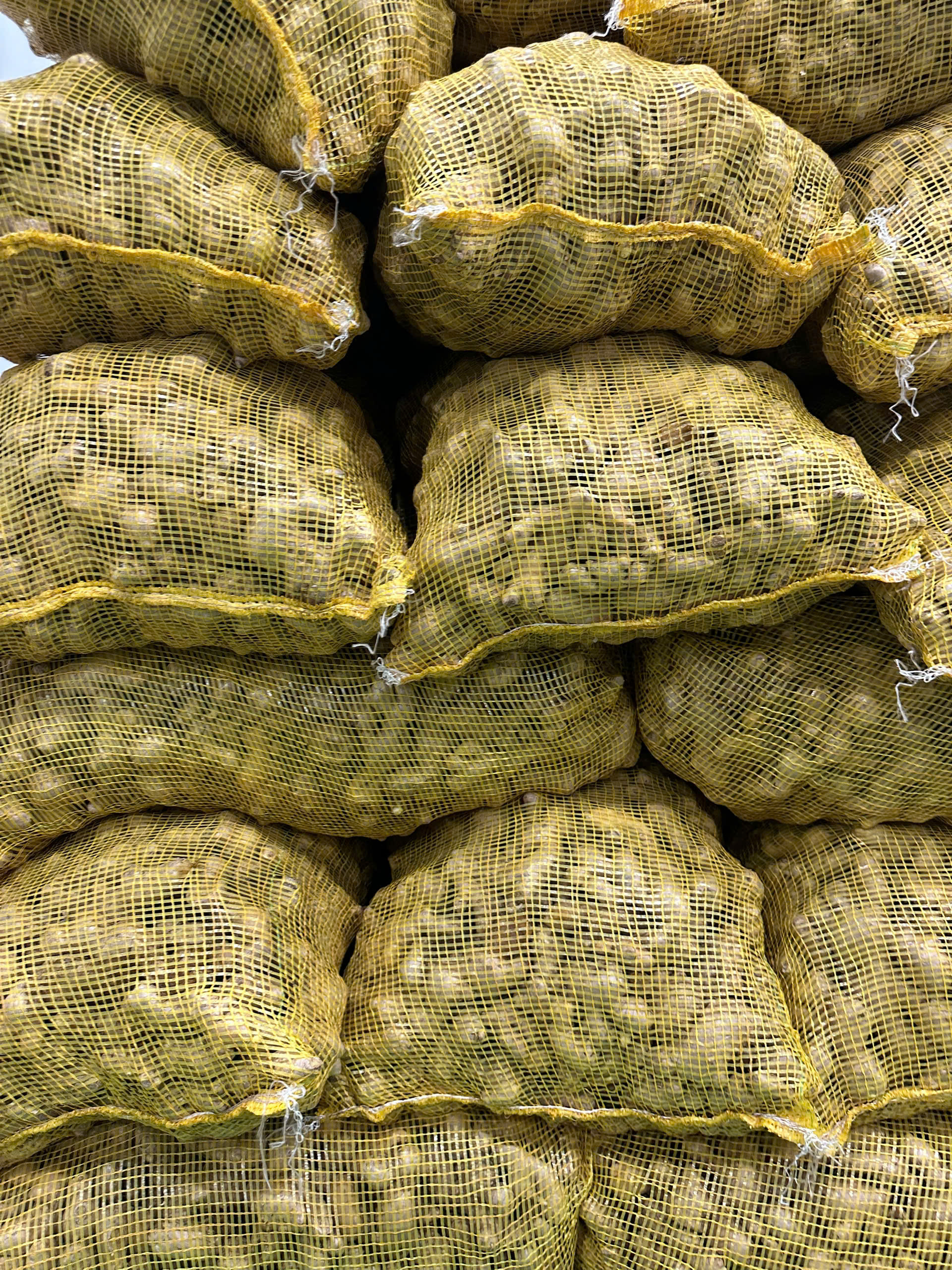 Premium Fresh Ginger Export from Vietnam | New Crop Ginger Supplier | Cat Lai Port & Hai Phong Port | Wholesale Fresh Ginger