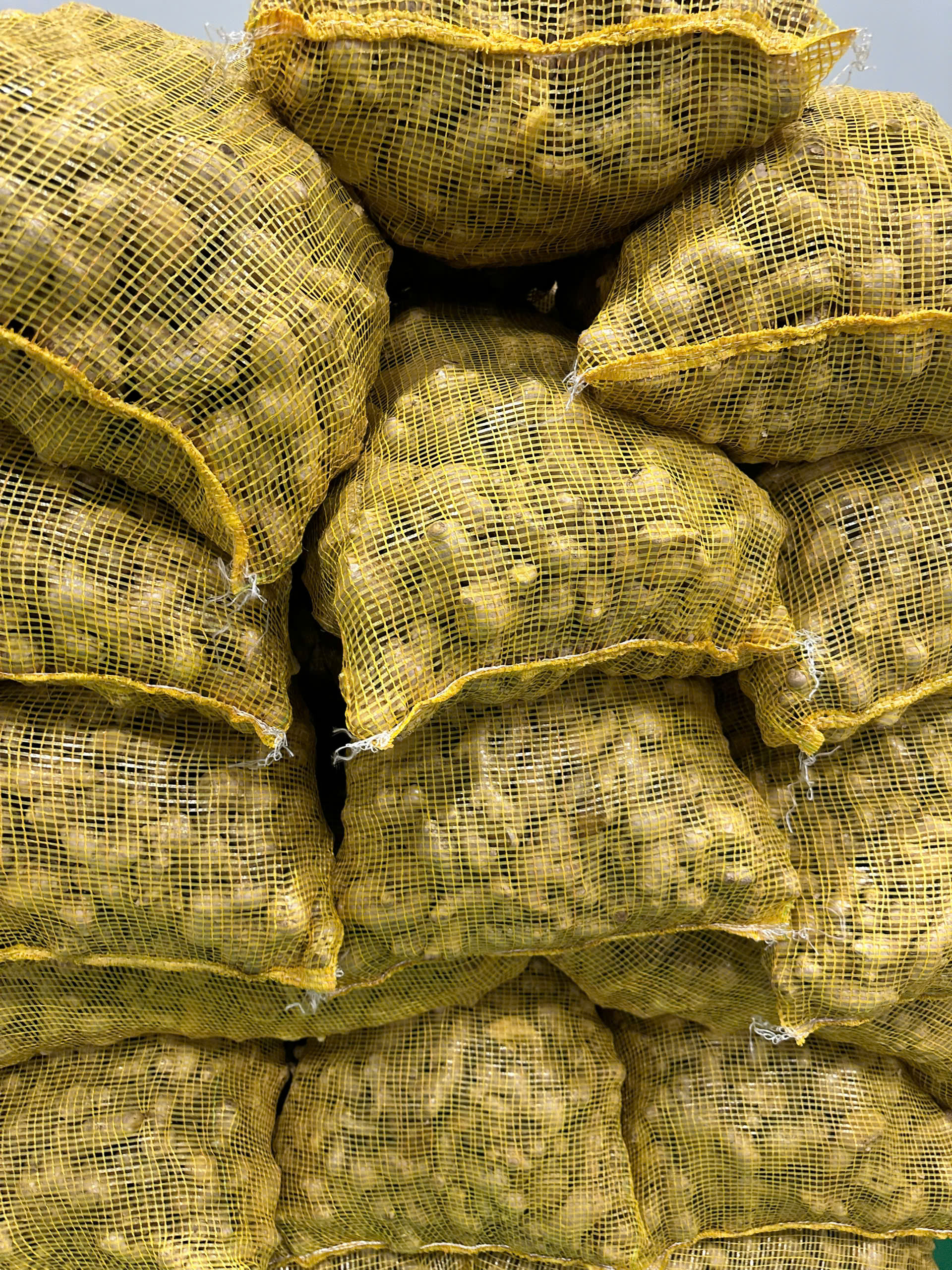 Premium Fresh Ginger Export from Vietnam | New Crop Ginger Supplier | Cat Lai Port & Hai Phong Port | Wholesale Fresh Ginger