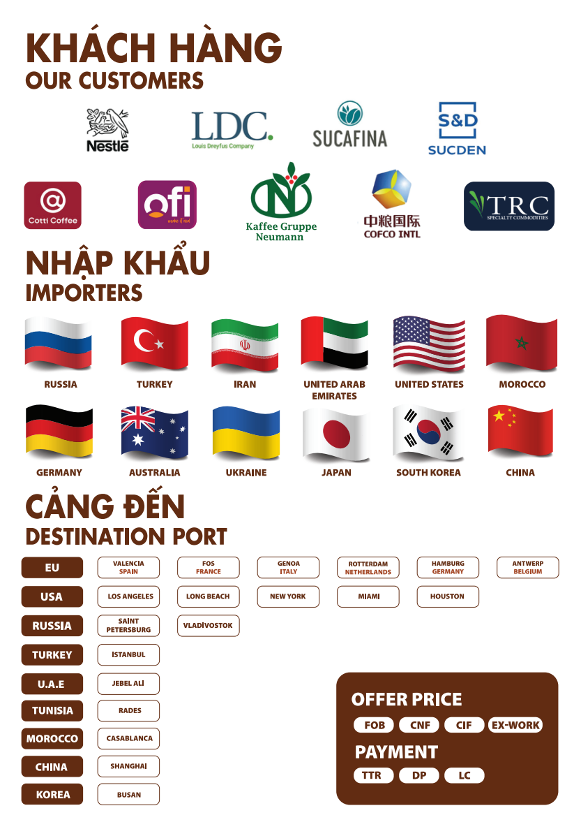 Vietnam Premium Green Robusta Coffee Beans for Export | FOB Cat Lai Port | Bulk Supply
