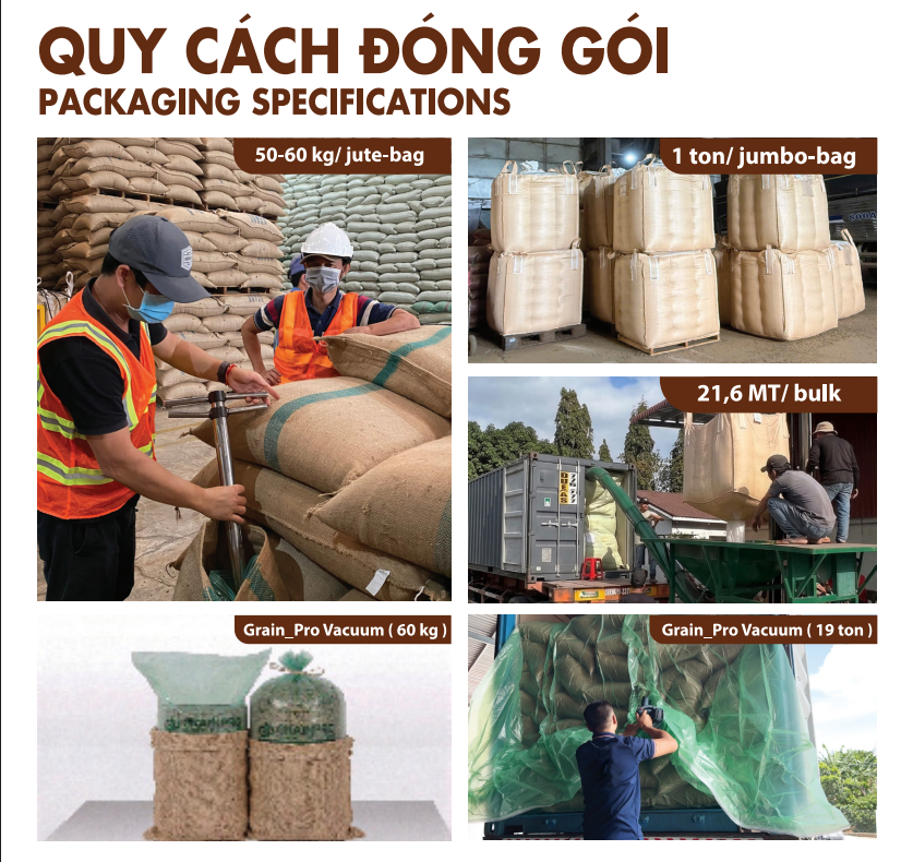 Vietnam Premium Green Robusta Coffee Beans for Export | FOB Cat Lai Port | Bulk Supply