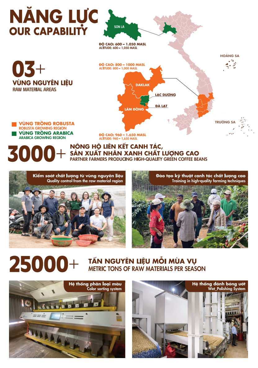 Vietnam Premium Green Robusta Coffee Beans for Export | FOB Cat Lai Port | Bulk Supply