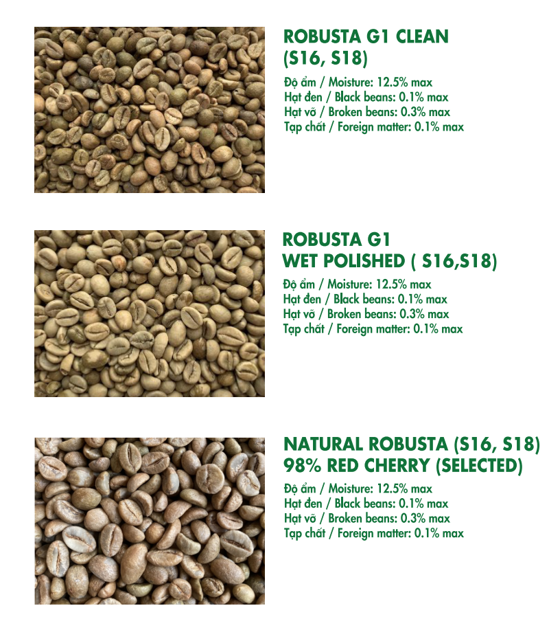 Vietnam Premium Green Robusta Coffee Beans for Export | FOB Cat Lai Port | Bulk Supply