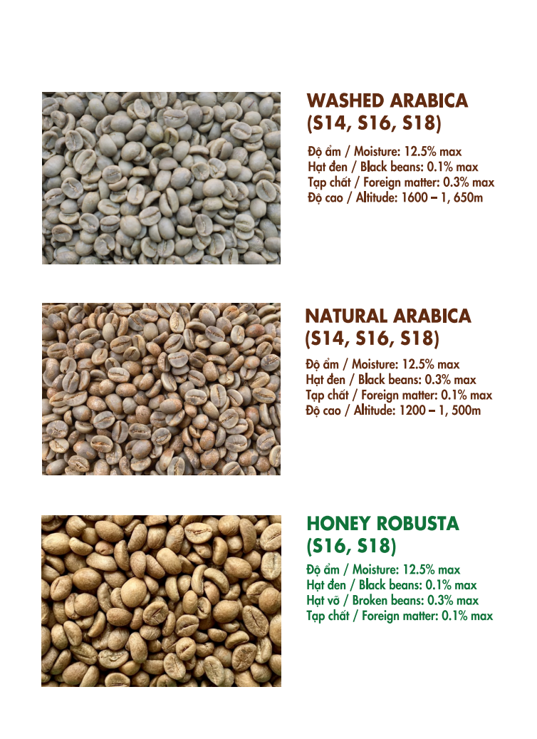 Vietnam Premium Green Robusta Coffee Beans for Export | FOB Cat Lai Port | Bulk Supply