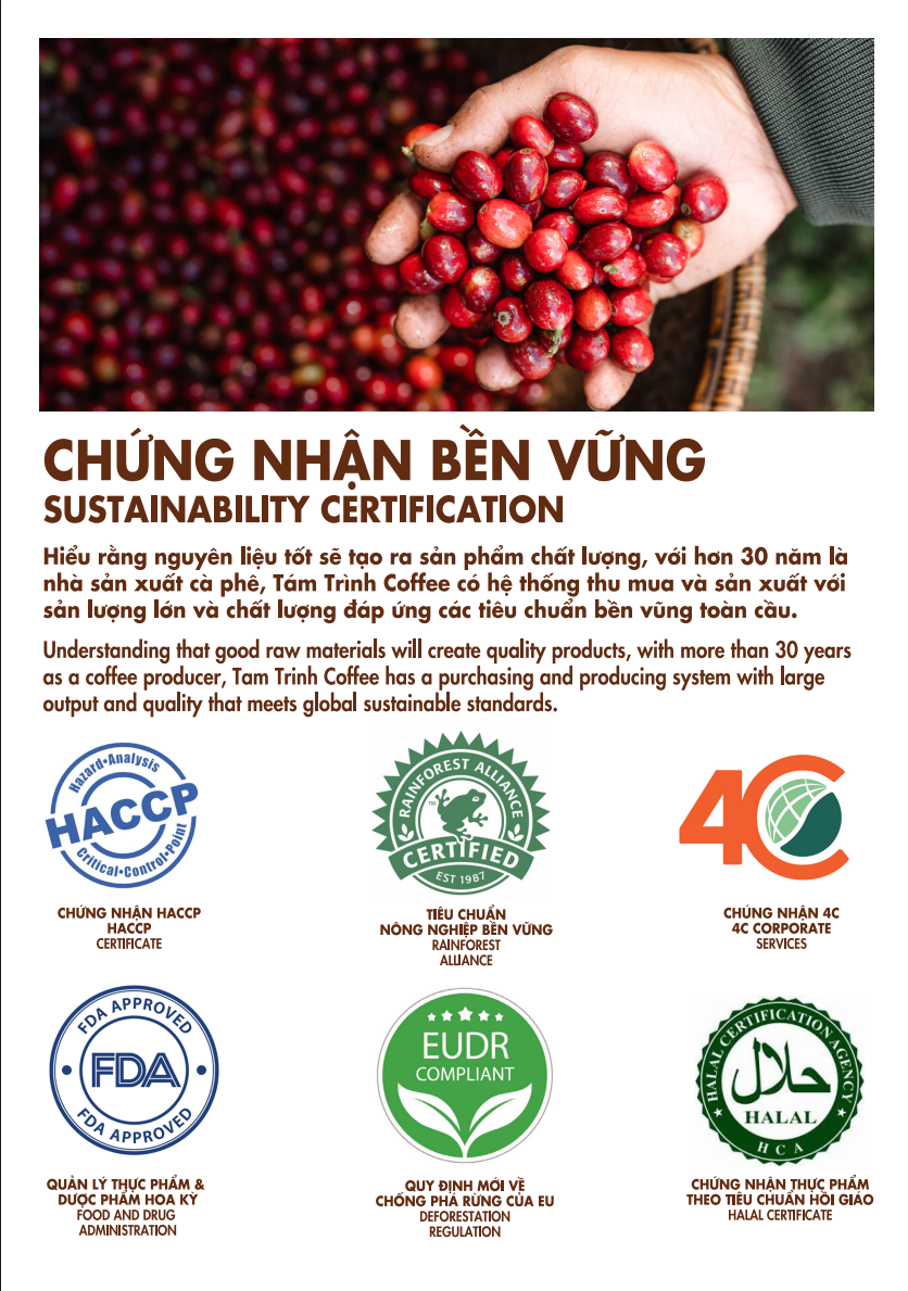 Vietnam Premium Green Robusta Coffee Beans for Export | FOB Cat Lai Port | Bulk Supply