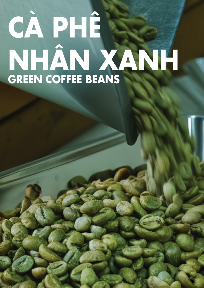 Vietnam Premium Green Robusta Coffee Beans for Export | FOB Cat Lai Port | Bulk Supply